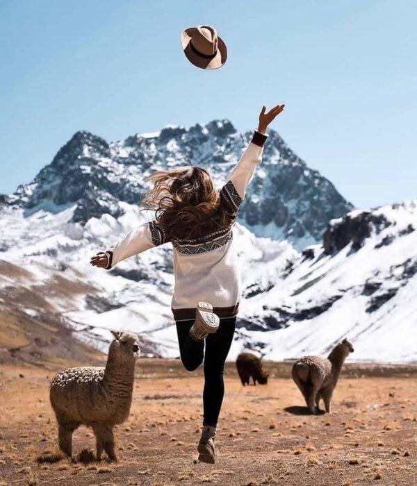 Alpacas in the Ausangate Valley