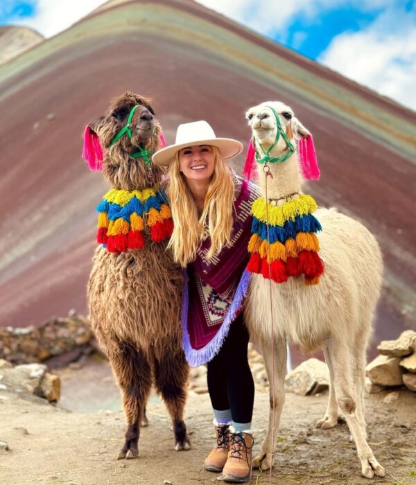 Alpacas on Rainbow Mountain