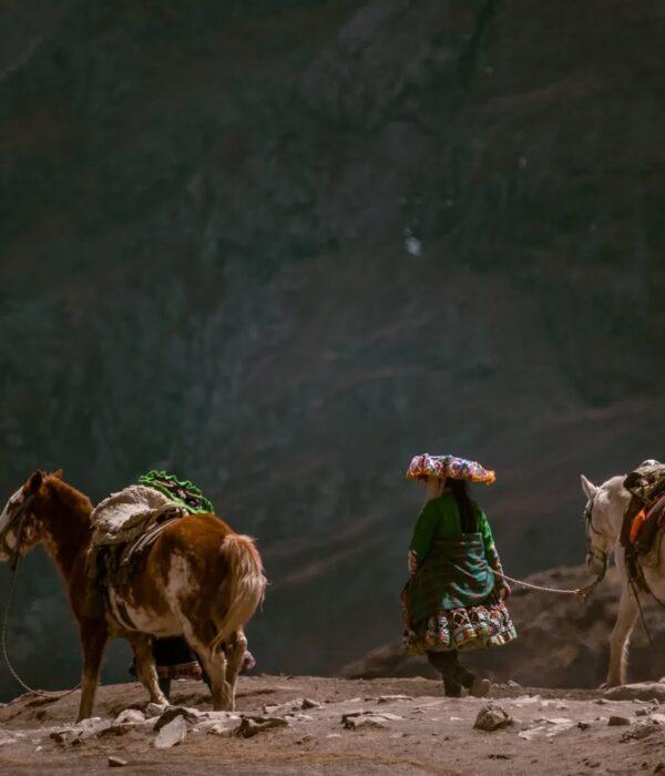 Andean woman next to pack horses