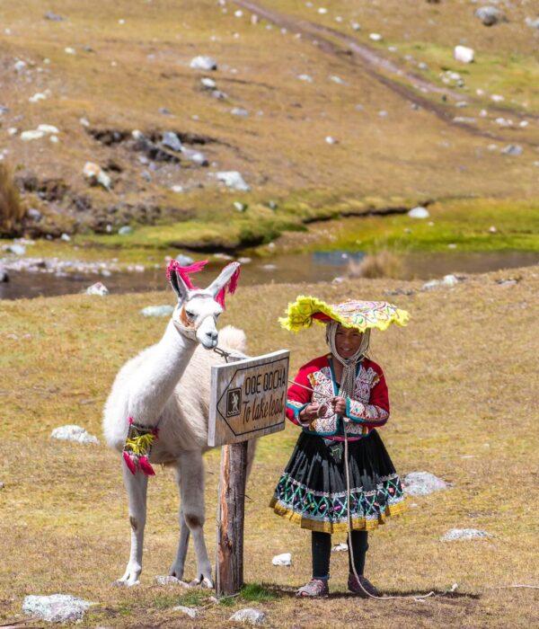 Girl with her domesticated alpaca