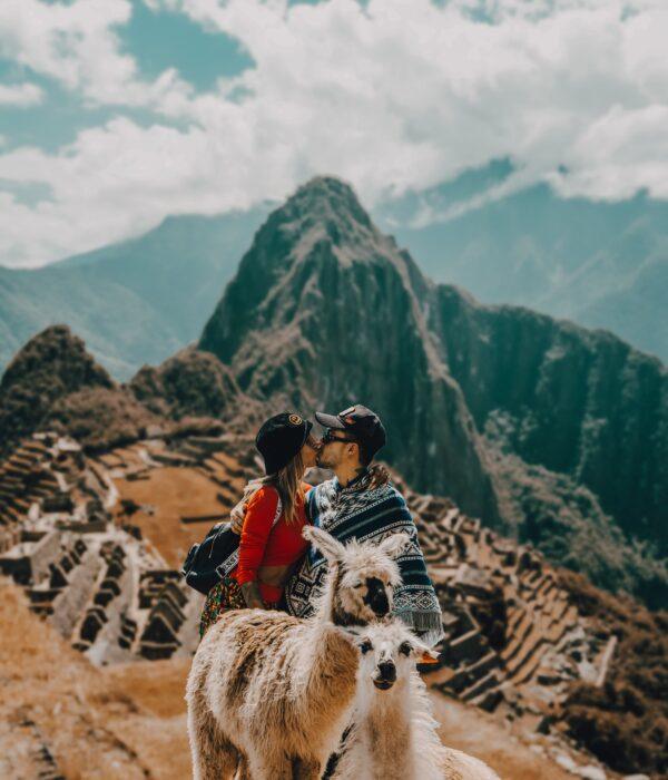 Machu Picchu and Alpacas