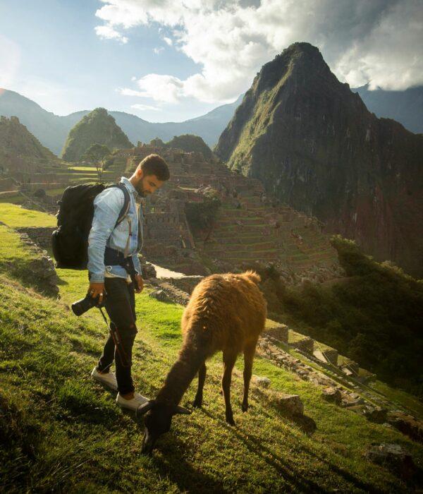 Machu Picchu and Lamas