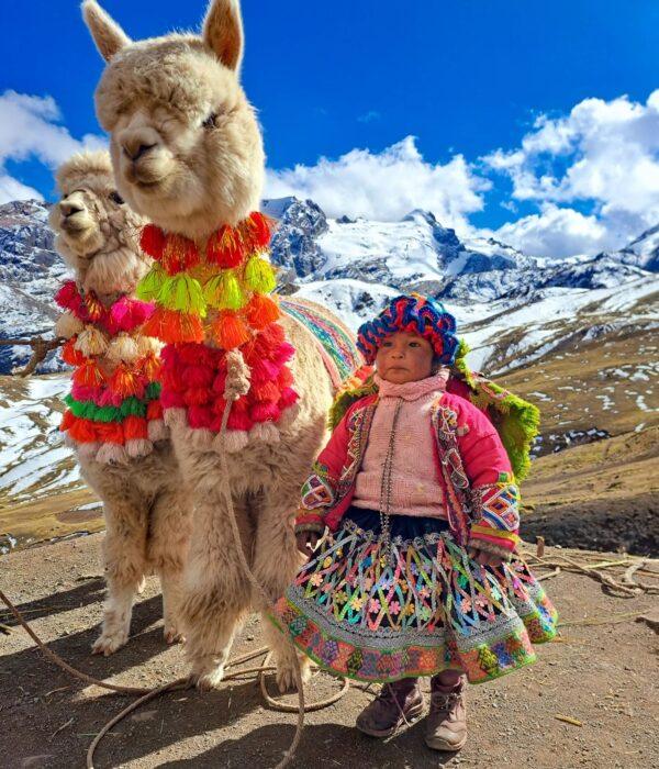 Beautiful girl next to the alpaca